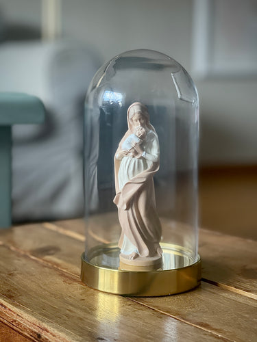 Stella Matutina Pastel - En urna